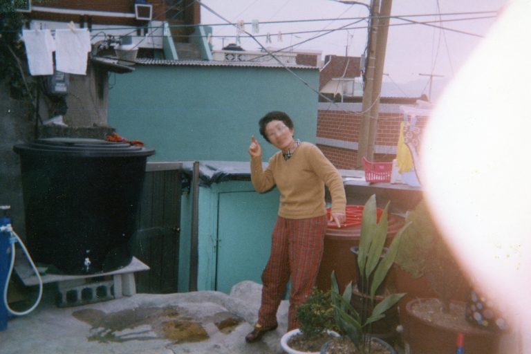 김금례